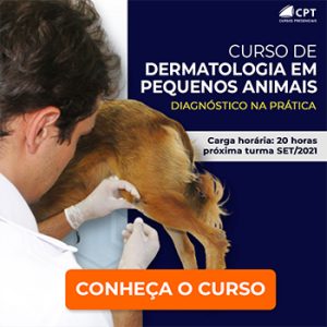 Insemina O Artificial Em Equinos Conhe A Mais Sobre Essa T Cnica