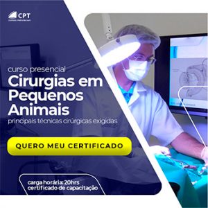 Insemina O Artificial Em Equinos Conhe A Mais Sobre Essa T Cnica