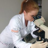 Exames laboratoriais: conheça os principais para pequenos animais